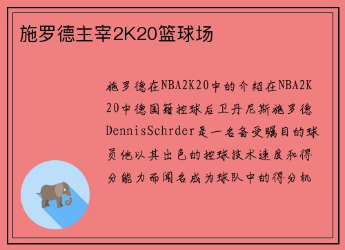 施罗德主宰2K20篮球场